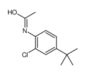 N-(4-(TERT-BUTYL)-2-CHLOROPHENYL)ACETAMIDE结构式