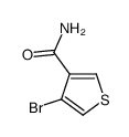 4-Bromothiophene-3-carboxylic acid amide结构式