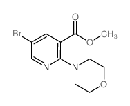METHYL 5-BROMO-2-MORPHOLINONICOTINATE结构式