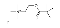 2-(2,2-dimethylpropanoyloxy)ethyl-trimethylazanium,iodide结构式