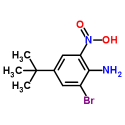 2-硝基-4-叔丁基-6-溴苯胺结构式
