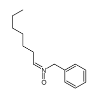 N-benzylheptan-1-imine oxide结构式