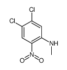 4,5-dichloro-N-methyl-2-nitroaniline结构式