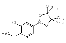 3-氯-2-甲氧基-5-(4,4,5,5-四甲基-[1,3,2] 二噁硼烷-2-基)-吡啶结构式