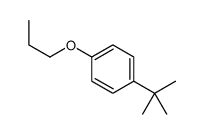 1-tert-butyl-4-propoxybenzene结构式