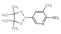3-甲基-5-(4,4,5,5-四甲基-1,3,2-二噁硼烷-2-基)吡啶-2-胺结构式
