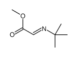 methyl 2-tert-butyliminoacetate结构式