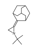 2-adamantylidene-N-tert-butylaziridine结构式
