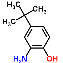 对叔丁基邻氨基苯酚结构式