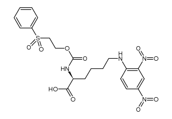(S)-6-((2,4-dinitrophenyl)amino)-2-(((2-(phenylsulfonyl)ethoxy)carbonyl)amino)hexanoic acid结构式