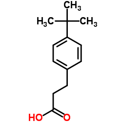 3-(4-叔丁基苯)-丙酸结构式