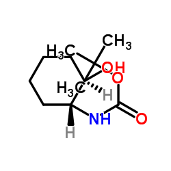 2-羟基环己基氨基甲酸叔丁酯结构式