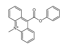 9-phenylcarboxylate-10-methylacridinium结构式