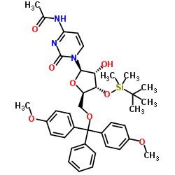 5'-O-DMT-3'-O-TBDMS-Ac-rC结构式