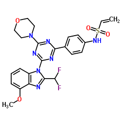 N-[4-[4-[2-(difluoromethyl)-4-methoxybenzimidazol-1-yl]-6-morpholin-4-yl-1,3,5-triazin-2-yl]phenyl]ethenesulfonamide结构式