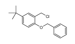 1-(苄氧基)-4-(叔丁基)-2-(氯甲基)苯结构式
