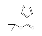 tert-butyl thiophene-3-carboxylate结构式