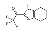 Ethanone, 2,2,2-trifluoro-1-(4,5,6,7-tetrahydro-1H-indol-2-yl)- (9CI)结构式