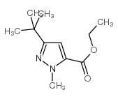 3-(叔丁基)-1-甲基-1H-吡唑-5-羧酸乙酯结构式
