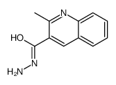 2-Methyl-3-quinolinecarbohydrazide结构式