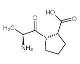 L-丙氨酰基-L-脯氨酸结构式