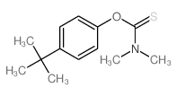 N,N-dimethyl-1-(4-tert-butylphenoxy)methanethioamide结构式
