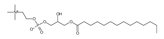myristoyllysophosphatidylcholine结构式