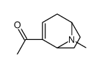 Ethanone, 1-(8-methyl-8-azabicyclo[3.2.1]oct-2-en-2-yl)- (9CI)结构式