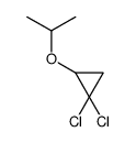 1,1-dichloro-2-propan-2-yloxycyclopropane结构式