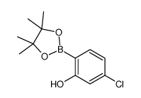 5-chloro-2-(4,4,5,5-tetramethyl-1,3,2-dioxaborolan-2-yl)phenol结构式