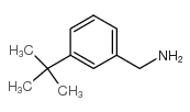 1-(3-叔丁基苯基)甲胺结构式