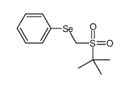 tert-butylsulfonylmethylselanylbenzene结构式