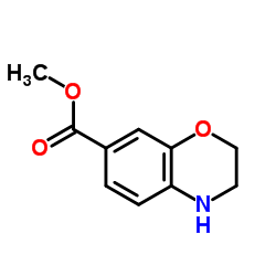 3,4-二氢-2H-苯并[1,4]恶嗪-7-甲酸甲酯结构式