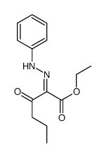 ethyl 3-oxo-2-(phenylhydrazinylidene)hexanoate结构式