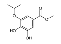 methyl 3,4-dihydroxy-5-propan-2-yloxybenzoate结构式