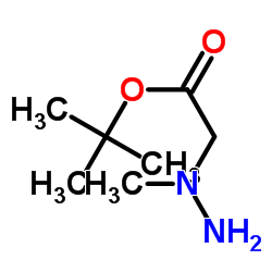 N-氨基-N-甲基甘氨酸叔丁酯结构式