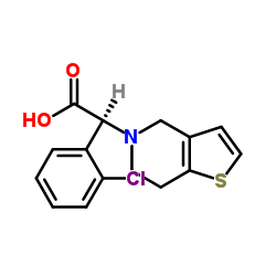 (S)-(O-氯苯基)-6,7-二羟噻吩[3,2-C]吡啶-5(4H)-醋酸盐酸盐结构式