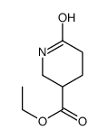 Ethyl 6-oxopiperidine-3-carboxylate结构式