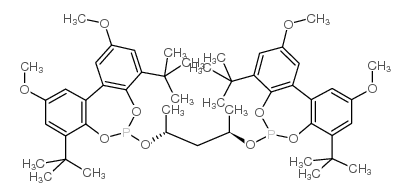 (+)-6,6'-{[(1R,3R)-1,3-二甲基-1,3 基]双(氧)}双[4,8-双(叔丁基)-2,10-二甲氧基-丙二醇结构式