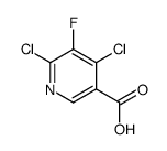 4,6-二氯-5-氟吡啶-3-羧酸结构式