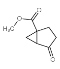 Bicyclo[3.1.0]hexane-1-carboxylic acid, 4-oxo-, methyl ester (9CI)结构式
