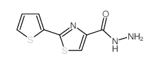 2-(2-THIENYL)-1,3-THIAZOLE-4-CARBOHYDRAZIDE结构式