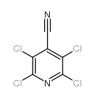 2,3,5,6-四氯异烟腈结构式