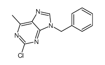 9-benzyl-2-chloro-6-methylpurine结构式