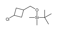 tert-butyl-[(3-chlorocyclobutyl)methoxy]-dimethylsilane结构式