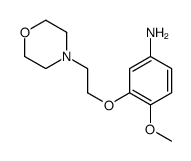 4-甲氧基-3-(2-吗啉乙氧基)苯胺结构式
