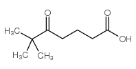 6,6-dimethyl-5-oxoheptanoic acid结构式