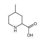 2-Piperidinecarboxylicacid,4-methyl-(9CI)结构式