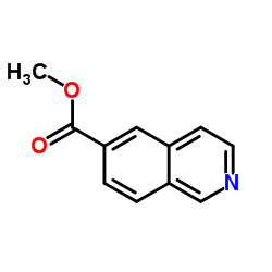 异喹啉-6-羧酸甲酯结构式