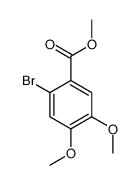 17667-32-2结构式